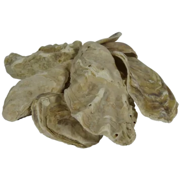 Coquille d'huître  BigBag 2m3 = 1000kg