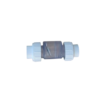 Clapet anti-retour 1 inch