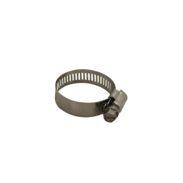 Slangklem RVS 10-25mm - 10 stuks